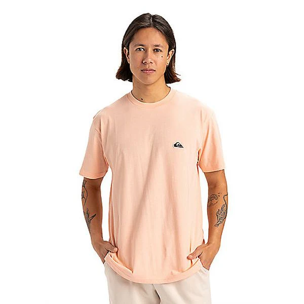 BASIC SS TEE YOUNG MEN Tee-shirt à manches courtes homme QUIKSILVER - Image 5