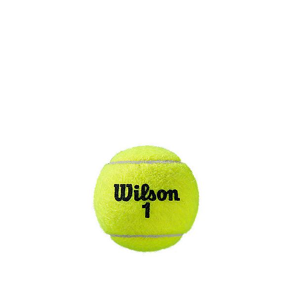 BI-PACK ROLAND GARROS ALL COURT 4 BALL Balles de tennis WILSON - Image 4