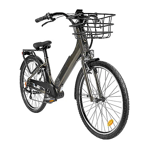 E-CITY 150 Vélo de ville électrique NAKAMURA - Image 3