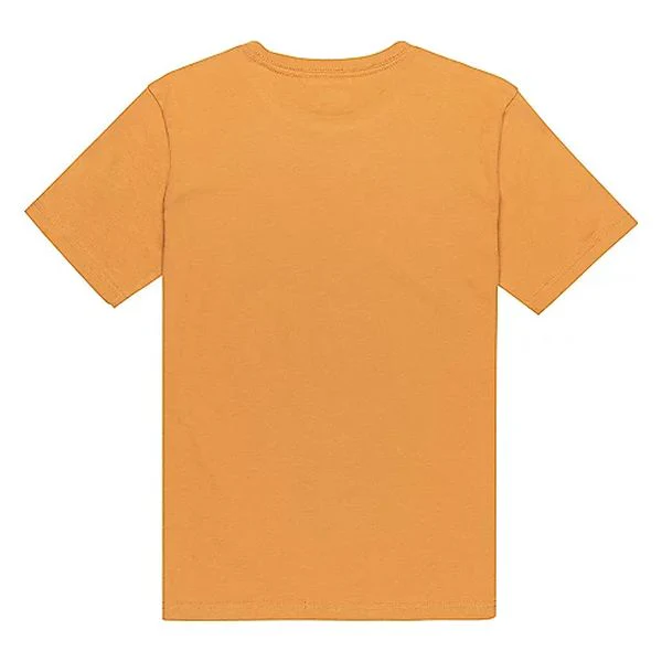 EV LIGHT WAVES SS YOUTH Tee-shirt à manches courtes garçon QUIKSILVER - Image 2