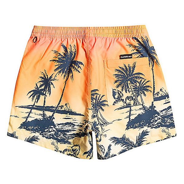 EVERYDAY PARADISE VOLLEY 15 Short de bain homme QUIKSILVER - Image 13