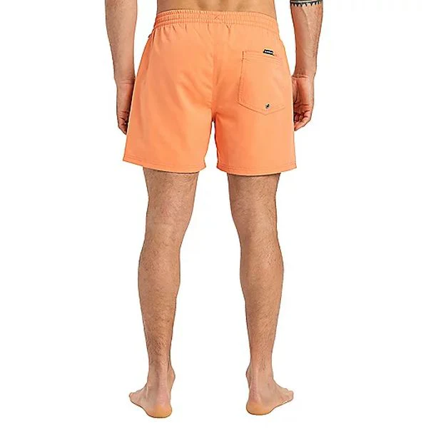 EVERYDAY SOLID VOLLEY 15 Short de bain homme QUIKSILVER - Image 17