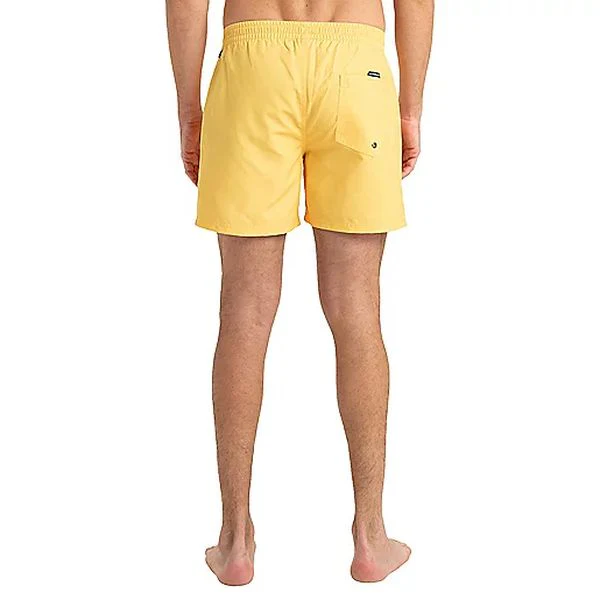 EVERYDAY SOLID VOLLEY 15 Short de bain homme QUIKSILVER - Image 23