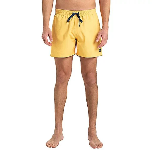 EVERYDAY SOLID VOLLEY 15 Short de bain homme QUIKSILVER - Image 24