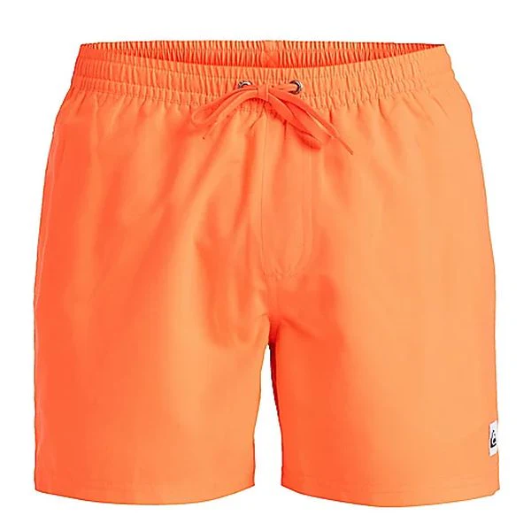 EVERYDAY SOLID VOLLEY 15 Short de bain homme QUIKSILVER - Image 25