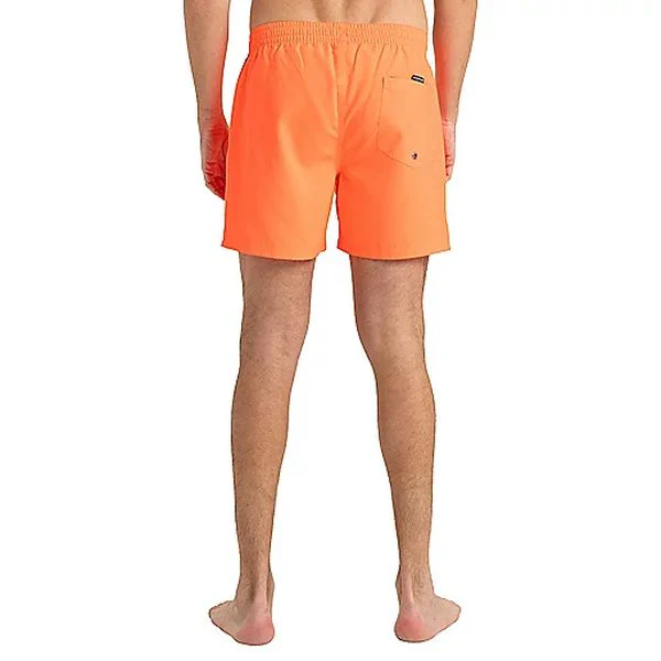 EVERYDAY SOLID VOLLEY 15 Short de bain homme QUIKSILVER - Image 29