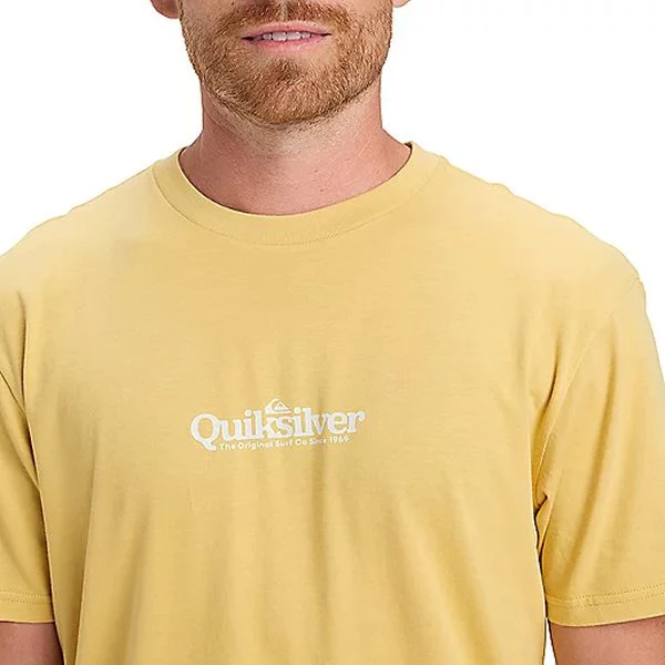 FINELINE SS Tee-shirt à manches courtes homme QUIKSILVER - Image 18