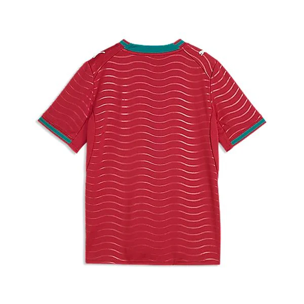 FPF HOME JERSEY REPLICA JR Maillot de football enfant PUMA - Image 2