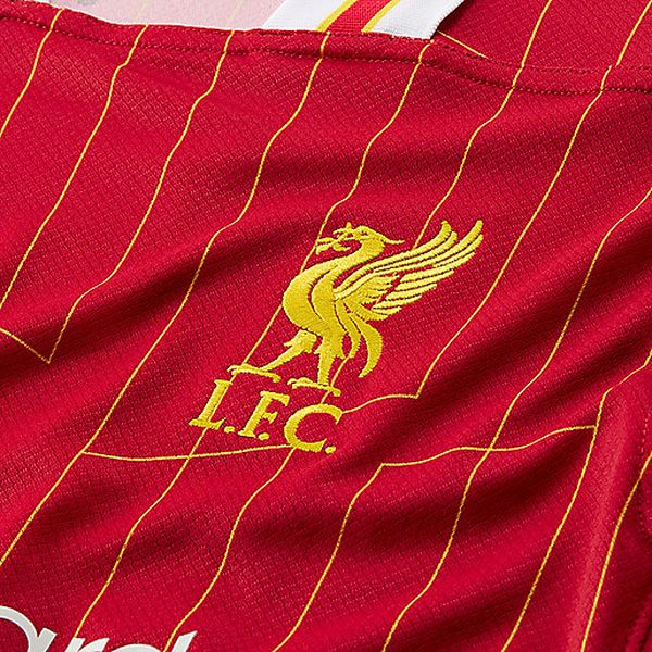 LFC M NK DF JSY SS STAD HM Maillot de football homme NIKE - Image 4
