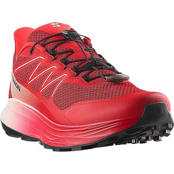 SHOES ALPHARIDE 2 Chaussures de running homme SALOMON